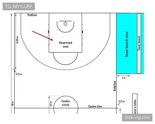 NBA裁判视角：详解持球五秒违例的判定标准与判罚后果